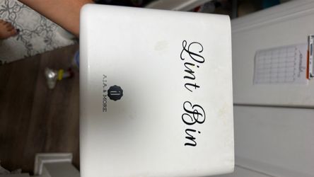 Lint bin laundry