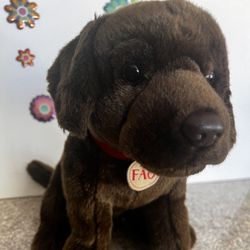 LAB PLUSH DOGBY FAQ!  He Is 14 Inches Long !!