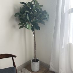 Artificial Fig Tree/Plant decor Home 