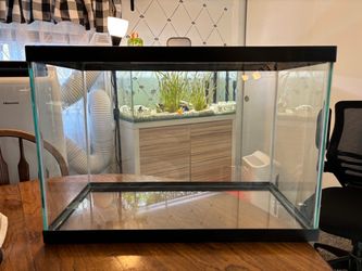 20 Gallon Aquarium