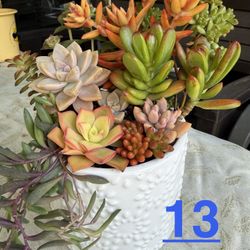 🥳 Mother’s Day Gift And Other Occasions 