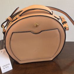 New Beautiful Pineapple Circular Purse By Crown And Ivy for Sale in Oak Forest IL OfferUp