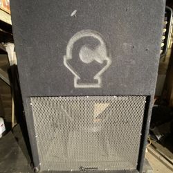 Cérwinski Profesional Bass Speaker 1000 Wats