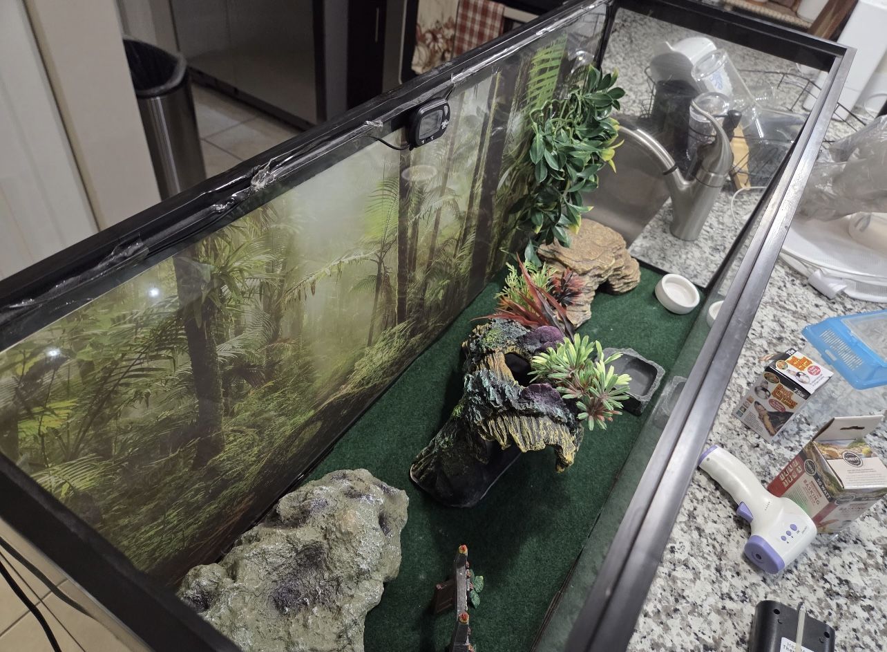 Tanque Para Reptil