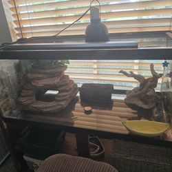 Terrarium