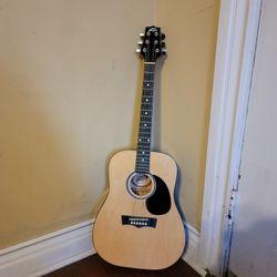 Peavey 6 String Acoustic Guitar 