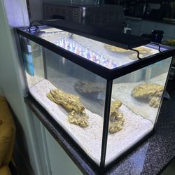 Saltwater Tank