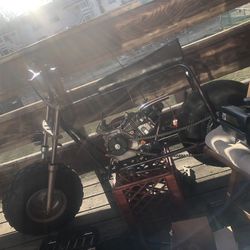 Coleman  Medium Sized Mini Bike 