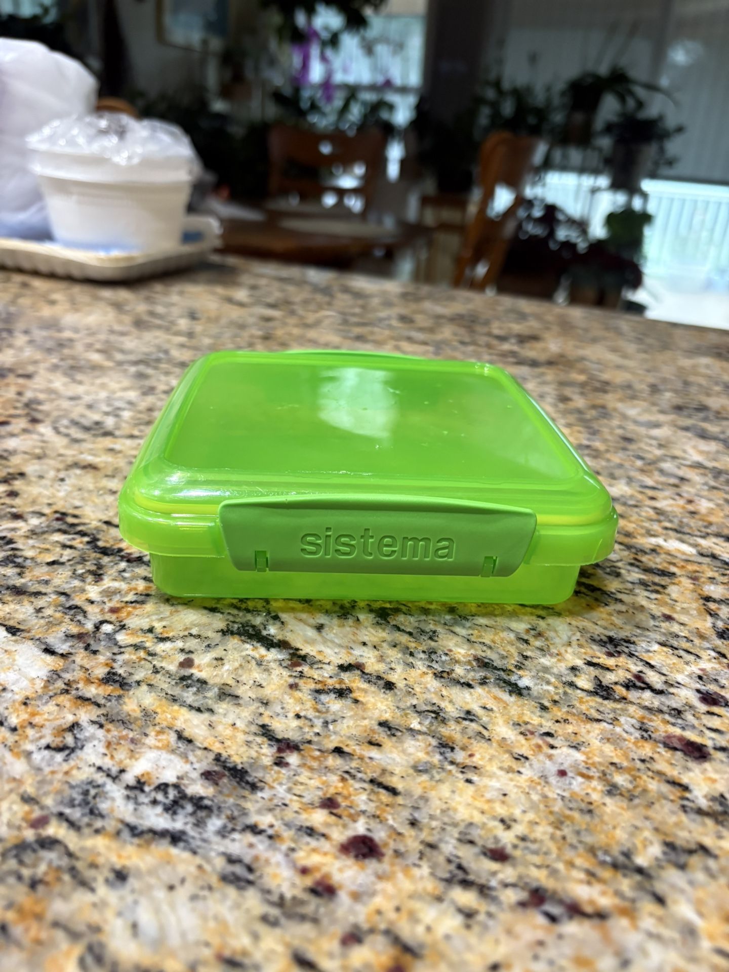 Sistema Food Container