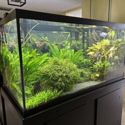 Complete 120-Gallon Aquarium Setup