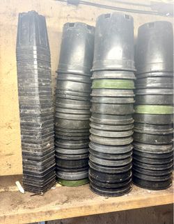 Plastic Nursery Pots