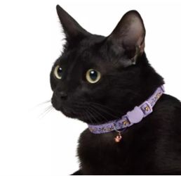 Whisker City Exclusive Purple Butterfly Print Easy Release Adult Cat Collar