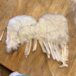 Angel Wings- Halloween