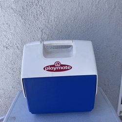Small Cooler 