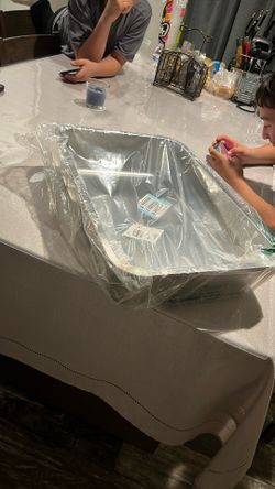Cat Litter