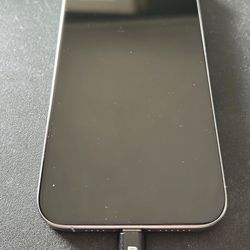 Apple iPhone 15 Pro Max 1TB Silver Factory Unlocked 10/10