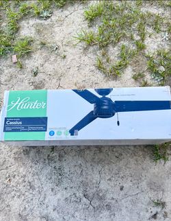 Patio Ceiling Fan