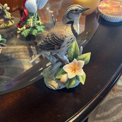 Meadowlark Bird 