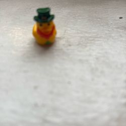 A Lucky Duck