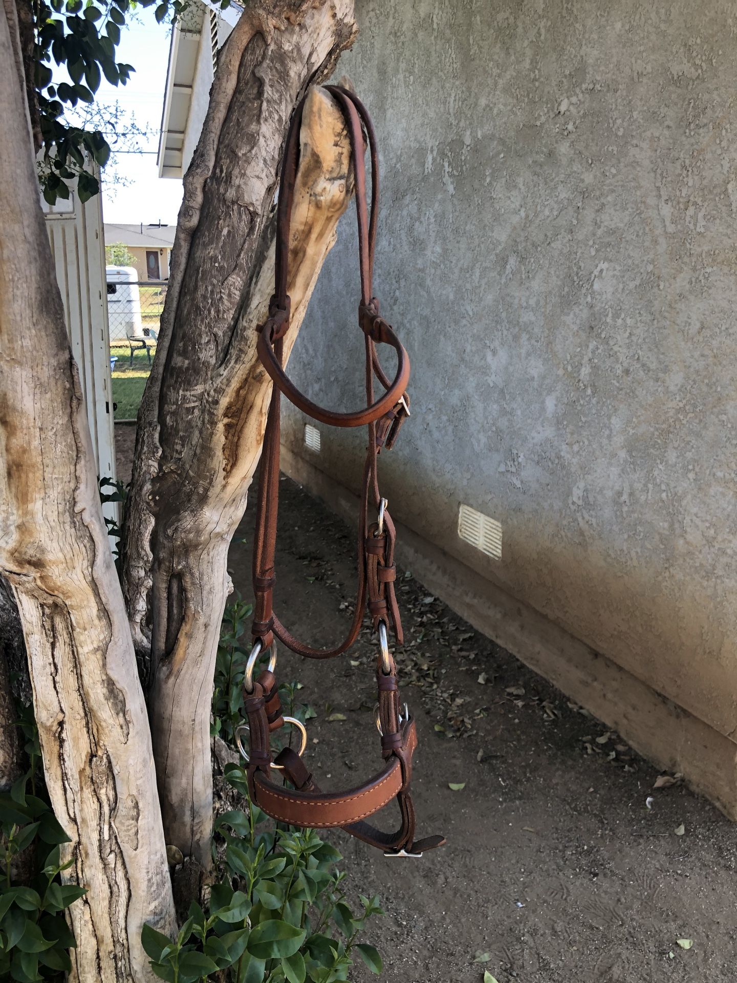 Side Pull Horse Bridle