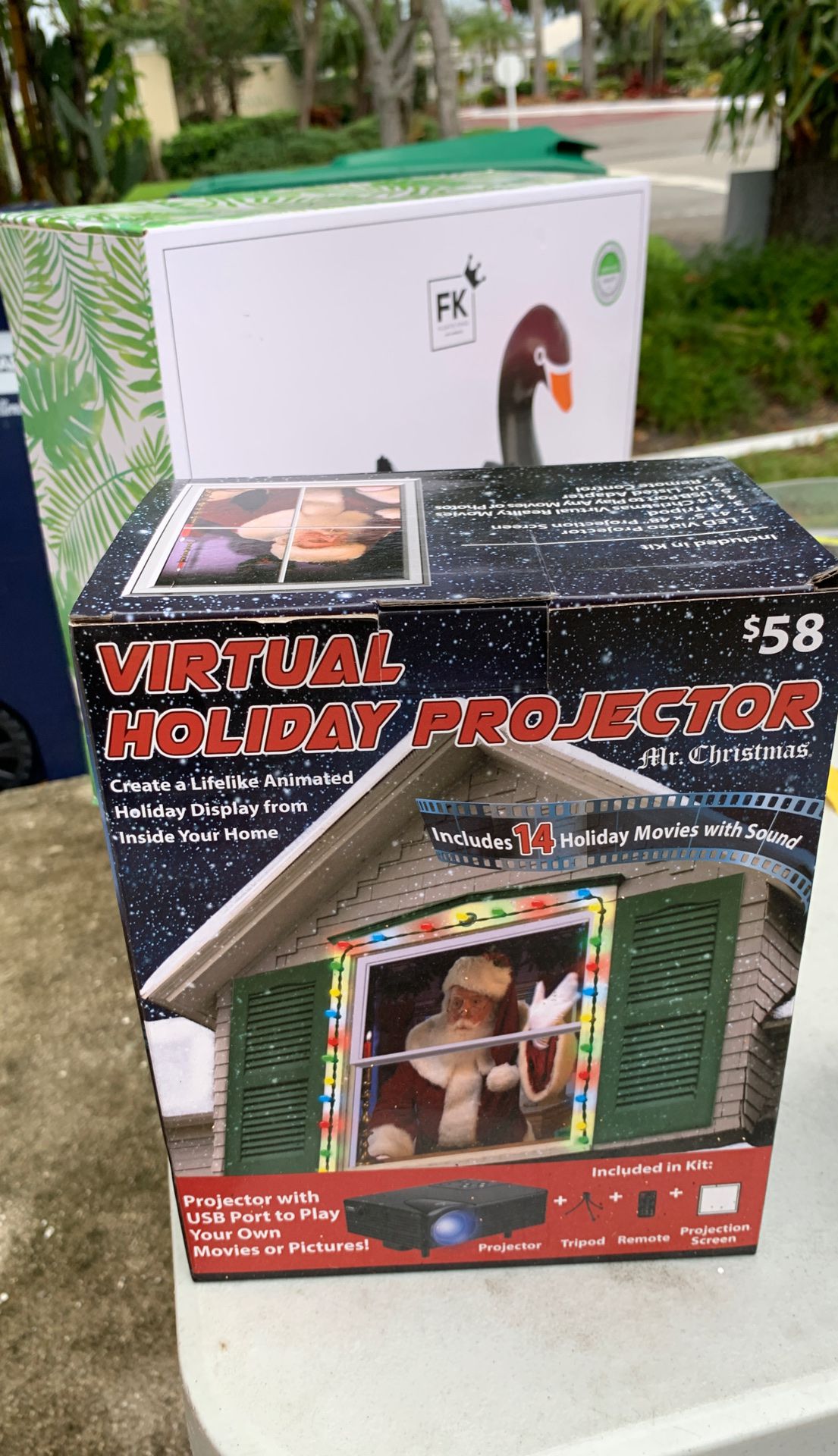 Holiday projector