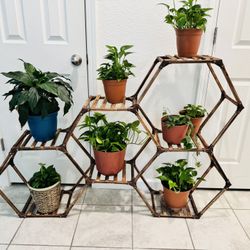 Plant Stand
