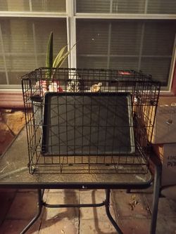 Dog kennel