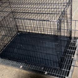 Dog Kennel