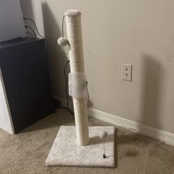 Cat Post 