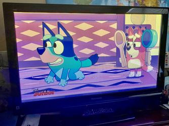 Panasonic 36in TV