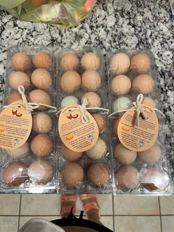 Organic Free Range Eggs