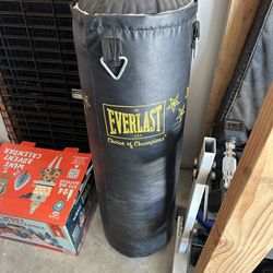 Everlast 80lbs Punching Bag 