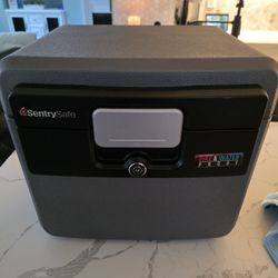 SentrySafe Fire And Water Proof 