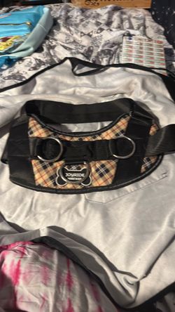 Joyride harness