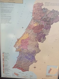 Wine Map - Portugal