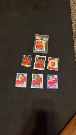 Panini