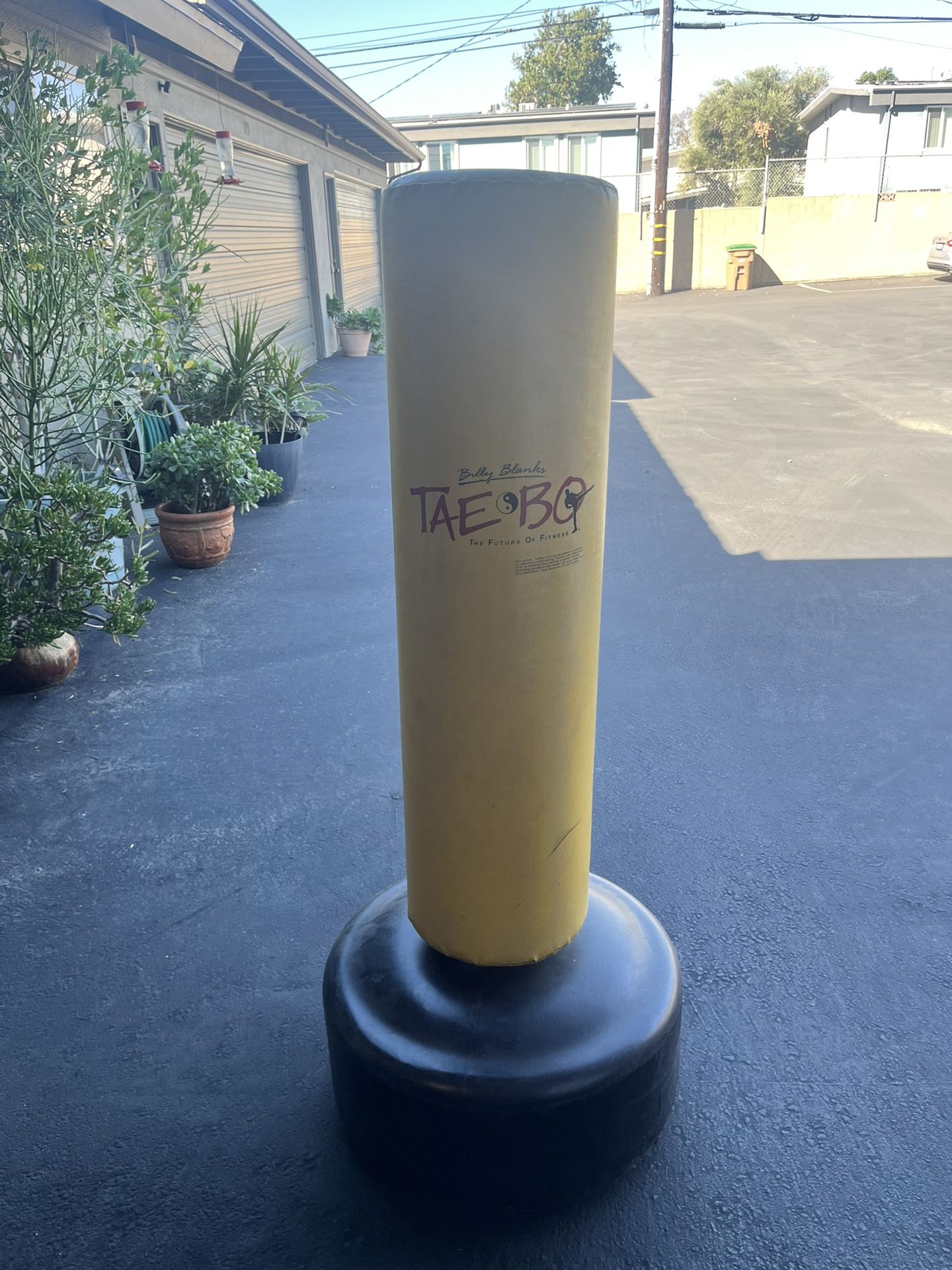 Adjustable Punching Bag (Good Condition)