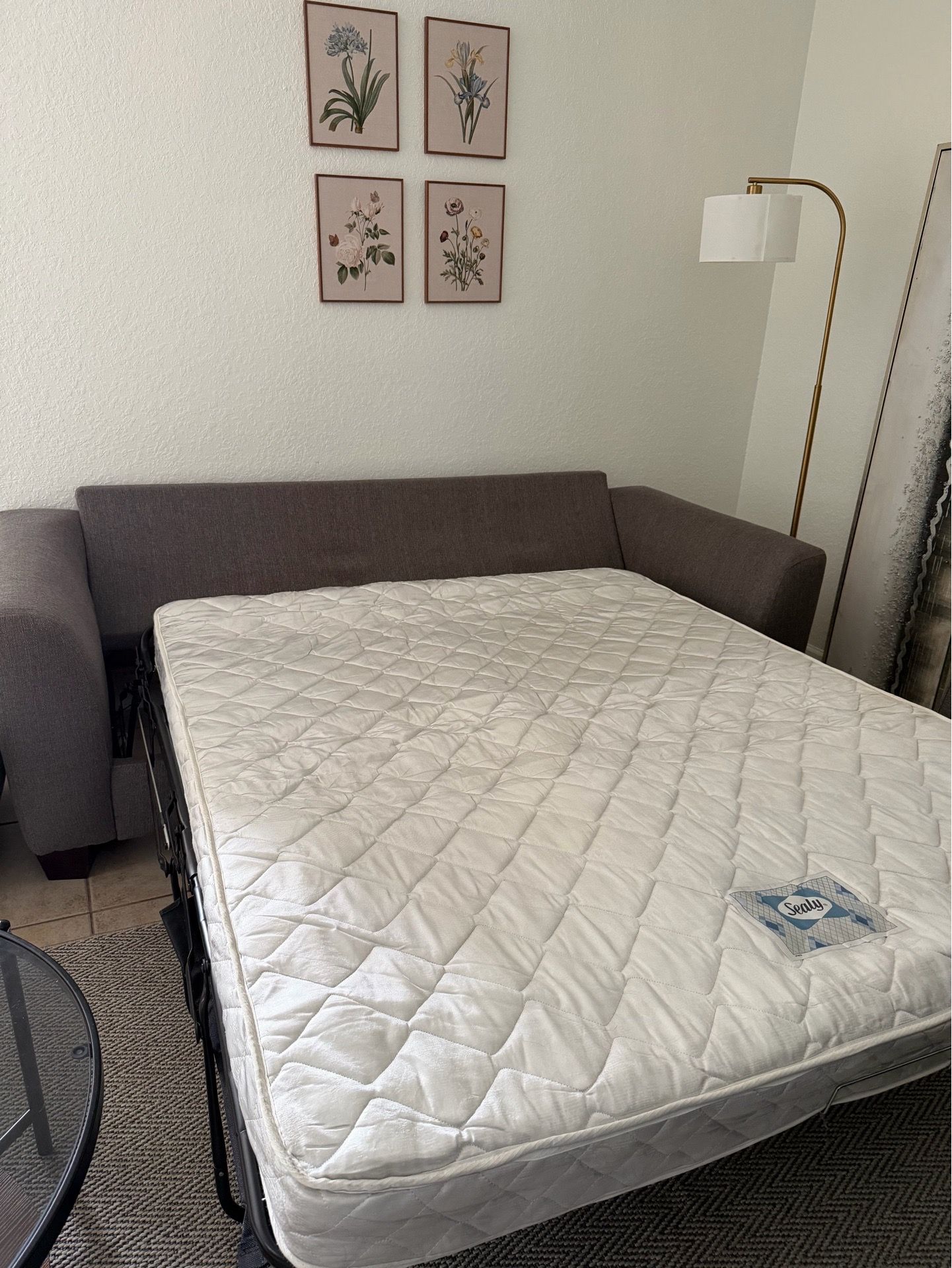 Gray Sofa (sleeper sofa)