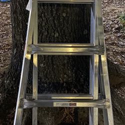 Ladder and scaffold