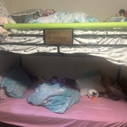 Twin Over Twin Bunk bed