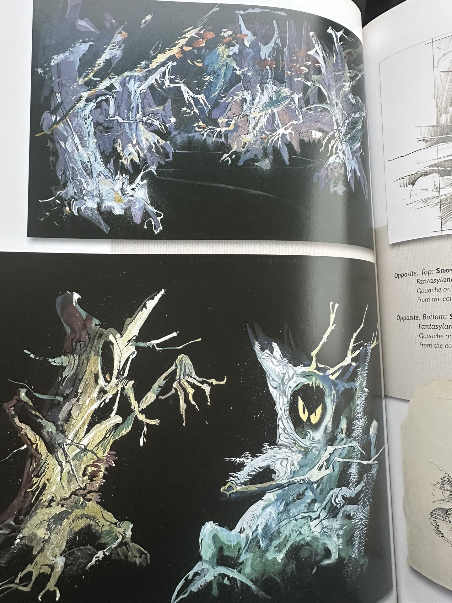A Brush With Disney An Artist Journey. Book
