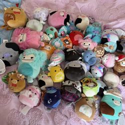 Squishmallow Bundle