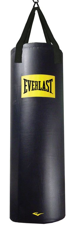 Everlast 100lb heavybag