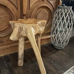 Tree Root Stool