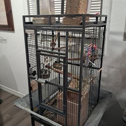 Two Cockatiels Cage And Food