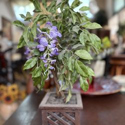 Set of 2 Decorative Plants