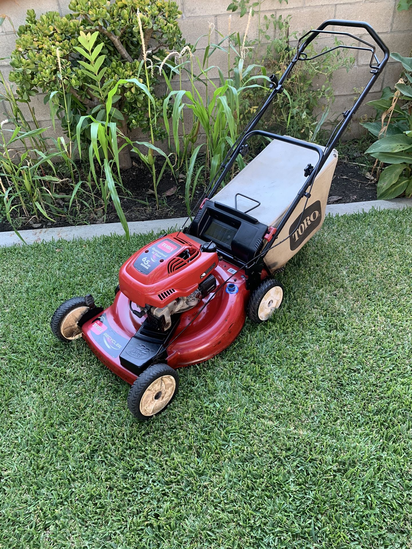 Lawn Mower