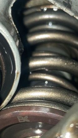 Fully Built B18b1 Head