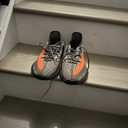 Size 8 Yeezy 