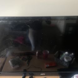 Large SANYO TV